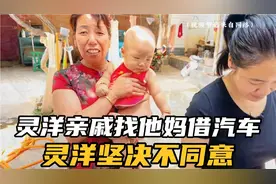 灵洋亲戚找他妈借汽车去南阳，灵羊说借啥都不能借汽车