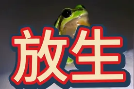 青蛙是益虫，一天能吃70多只害虫。一年能消灭5000多只害虫。