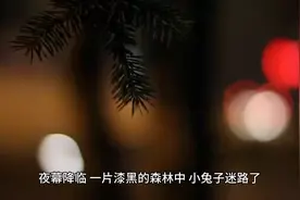恐怖森林