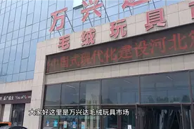 白沟毛绒玩具批发市场，想创业摆摊儿的老板们可以看看。视频封面