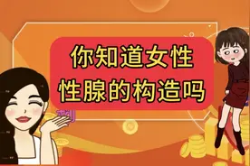 你知道女性性腺的构造吗？