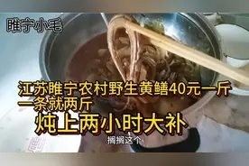 江苏睢宁农村田间野生黄鳝40元一斤！一条就两斤！炖上半小时大补