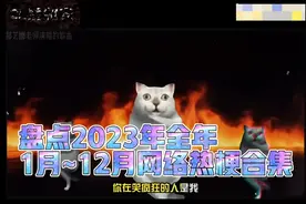 盘点2023年全年1月~12月网络热梗合集，有没有你喜欢的？视频封面