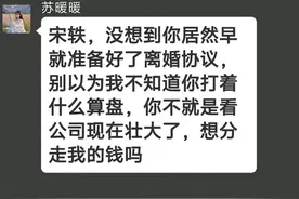 妻子将许诺我的副总位置给了男助理后，我将项目作废，她生不如死视频封面