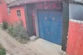 近日，山东菏泽八旬老太太被一条黑狗撕咬，鼻子被咬掉双眼咬瞎。