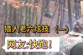 猎人枪打野猪场面震撼，装八倍镜不讲武德~#狩猎 #野猪 #八倍镜