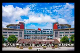 青岛科技大学（公办本科）视频封面