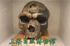 寒冬腊月闲逛自然博物馆，遗憾的是没有人体及其器官标本。