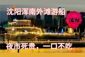 沈阳浑南外滩市集浑河游船之旅，两岸风景不错，夜市小吃一口不吃视频封面
