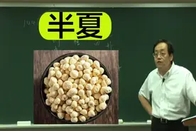 倪海厦讲本草：半夏(1)