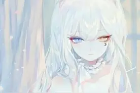 我的番茄书架ฅ( ̳• ◡ • ̳)ฅ