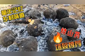 乡村美味烧山药，你有多久没吃过了？那一年是哪一年？视频封面
