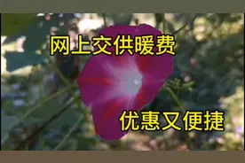 网上交供暖费，有优惠还便捷！跟我来操作吧！视频封面