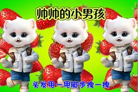 帅帅的小男孩｜就这么可爱，要多帅有多帅小脸白又白