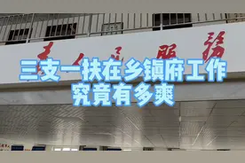 三支一扶在乡镇府工作究竟有多爽视频封面