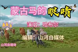 蒙古马的眼睛#里面装满了风景#盛满了草原人的真性情