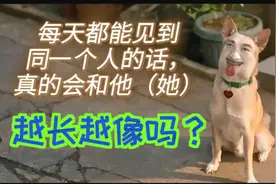 我们会和每天见面的人越长越像吗？网友：禁止套娃