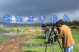 和另一车友来到江川湿地拍鸟，这里主要拍国家一类保护鸟彩鹬