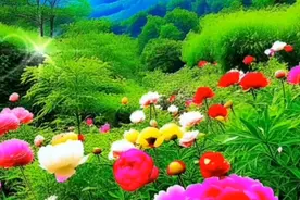 好姐姐，虽然我俩相隔千里，但却阻挡不了我对你的牵挂