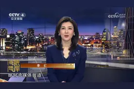 #新闻女主播# 李红在CCTV4《海峡两岸》节目中播报新闻视频封面