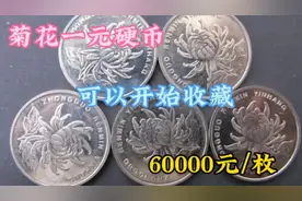 这三个年份的菊花一元，可以开始收藏了，最贵单枚60000元视频封面