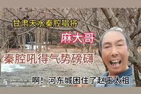 甘肃天水名家艺人，秦腔唱将麻大哥，听他的演唱过瘾、享受视频封面