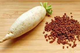萝卜搭配花椒，作用太厉害了，试3天真管用，方法简单省钱又实用