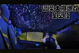 冰雹过后蔬菜大棚爆改星空顶视频封面