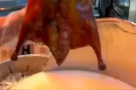 快餐烧鸭砍法视频封面