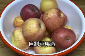 春天把苹果切一切，1周做出苹果酒，不发酸不长毛，酒香浓郁好喝视频封面