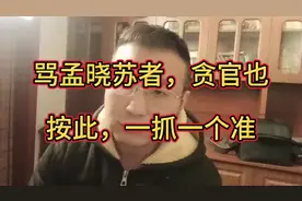 孟晓苏贪官曝光，一抓一个准！视频封面