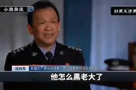 扫黑又涉黑的副局长，同时掌握当地黑白两道18年，黑白通吃白波视频封面