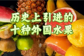祖宗甄选：中国历史上引进的十大国外水果视频封面