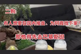 二狗:有人想要在国内接盘阿霞？那他先得去巴基斯坦慢慢等着视频封面