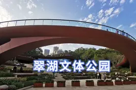 深圳市罗湖区这个新公园太新奇了，孩子们玩嗨啦！