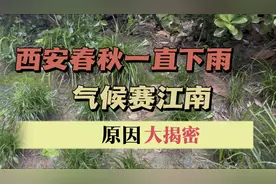 西安年降水量北方城市排第一，阶段性比肩成渝，西安多雨原因何在