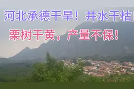 河北承德！干旱持续，水井干枯，吃水困难农作物面临绝产！视频封面