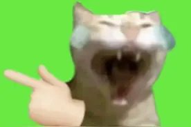 吐槽乐子专用表情包，可下载截图