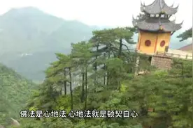 每日一禅，传心法要视频封面