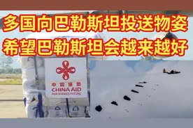 多国向巴勒斯坦投送物姿希望巴勒斯坦会越来越好视频封面