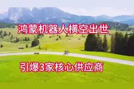 鸿蒙机器人横空出世，引爆3家核心供应商视频封面