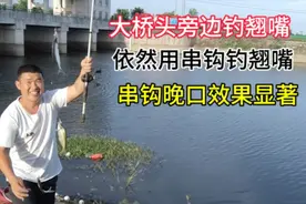 傍晚来到大桥头旁边，使用串钩钓翘嘴，晚口效果显著。视频封面