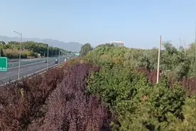 京牌摩托车新规关注视频封面