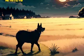 番茄畅听视频封面