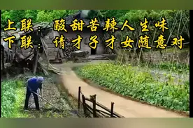 上联：酸甜苦辣人生味
下联：请才子才女随意对视频封面