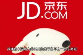 2分钟了解下京东集团视频封面