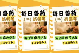 每日兽药——泛昔洛韦！治疗猫咪疱疹病毒，猫鼻支