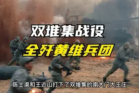 黄维兵团12万大军被中野和华野全歼，黄维和杨伯涛慌忙跑路视频封面