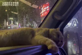 两装两卸安徽芜湖～江西南昌 全程560公里视频封面