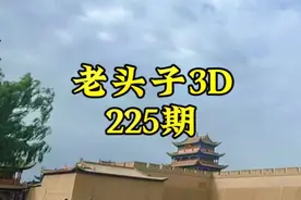老头子3D第225期
